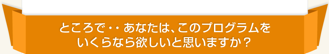 ところで・・あなたは、このプログラムをいくらなら欲しいと思いますか？