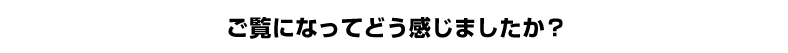 ご覧になってどう感じましたか？