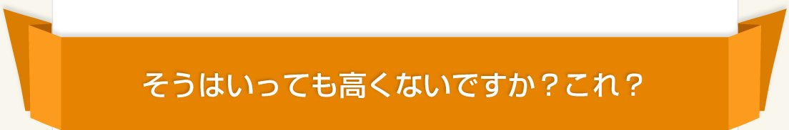 そうはいっても高くないですか？これ？